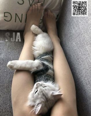 wo998电影免费中心_蓝光日本电影免费