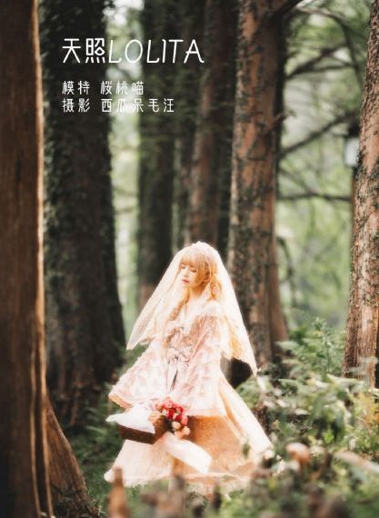 亚洲国产精品成人久久久麻豆_DVD完整版观看