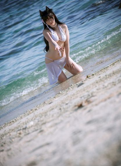 片片网_BD日本电影免费