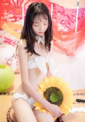 女律师的堕落完整版_BD全集在线观看